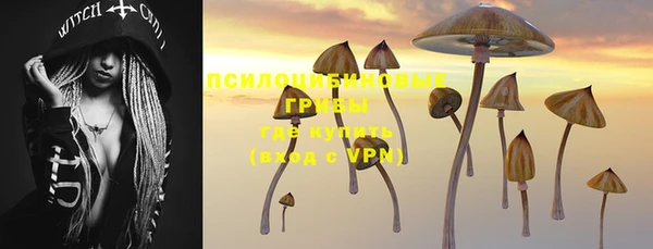apvp Абаза