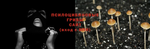 apvp Абаза