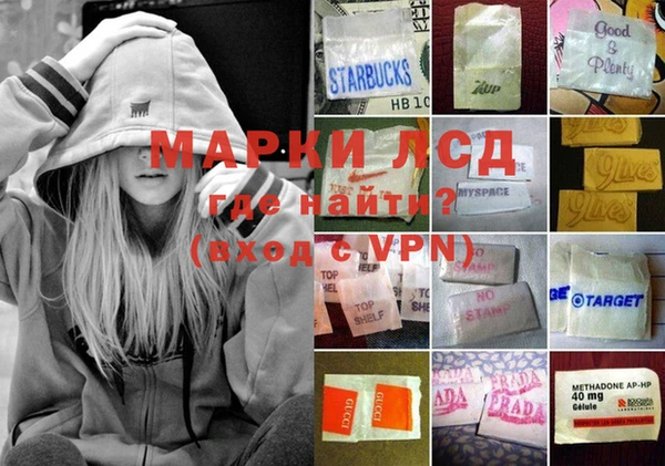 шишки Алзамай